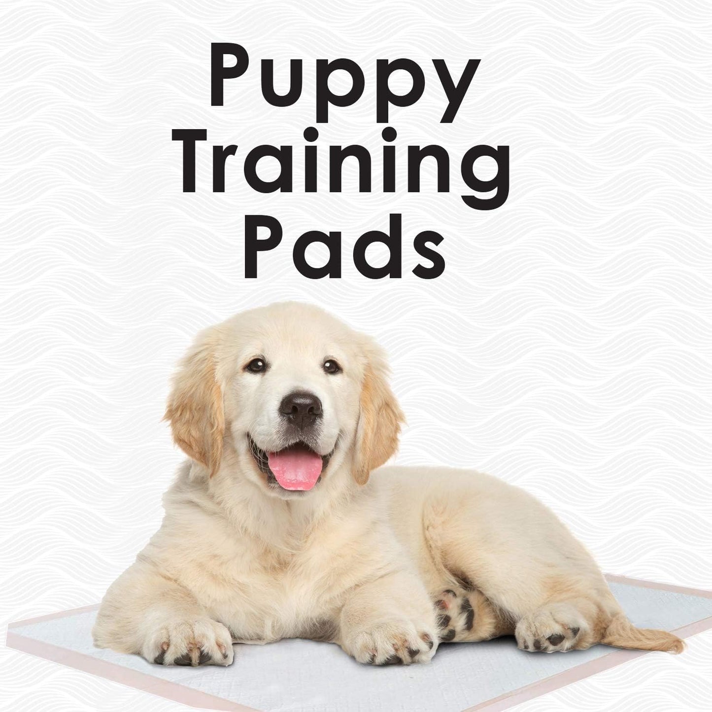 AbsorbEase® Ultra Absorbent Disposable Underpads - 25 Count Waterproof Large 30" x 30" Bed Pads for Incontinence - Leakproof Fast Drying, Baby, Puppy & Adults Bed Pads, Dog Pee Pads